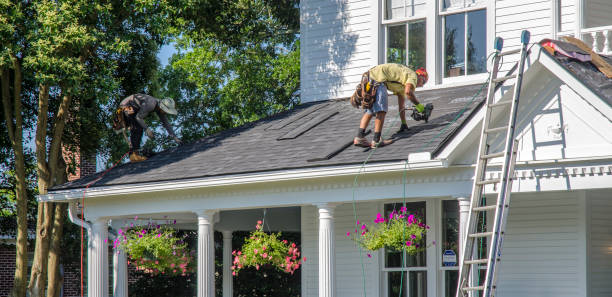 Best Roof Gutter Cleaning  in Fairmont, MN